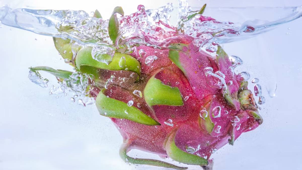 Soaked Foods Health Benefits Soaked Foods Health Benefits