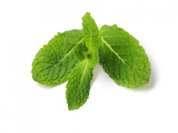 4. पुदीना के पत्ते 