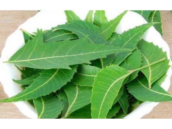 1. नीम का तेल 