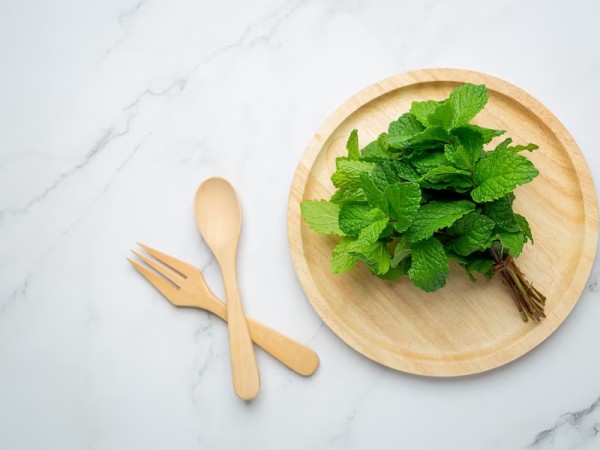 पुदीने की चटनी की रेसिपी