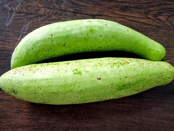 Bottle Gourd (Lauki) For Babies – When to Introduce, Benefits, Precautions and Recipies in Hindi 
