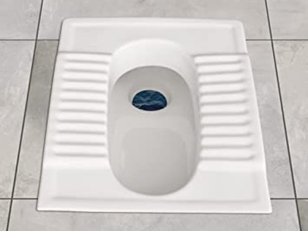 2. इंडियन टॉयलेट को बनाएं प्रायोरिटी