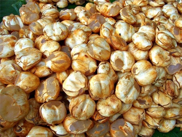 Health Benefits of Eating Ice Apple in Summer in Hindi 