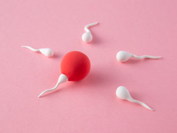 Ovulation Home Test: How To Check If Your Ovulating At Home