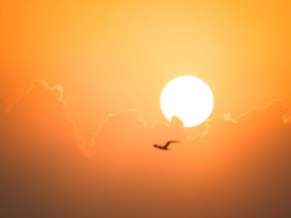 What Does Red Orange And Yellow Alert Meaning in weather