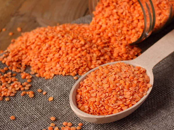 High Protein Rich Foods: Best Protein Sources For Vegans And Vegetarians High Protein Rich Foods: Best Protein Sources For Vegans And Vegetarians