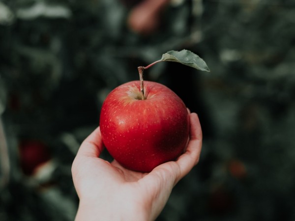 How to identify if Your Apples are Organic or Not?