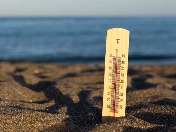 Heat Wave Alert: Who Is Most At Risk During A Heat Waves