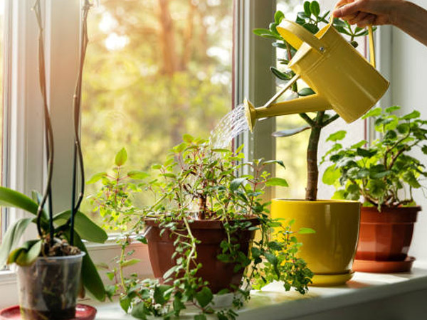 How to Cool House in Summer