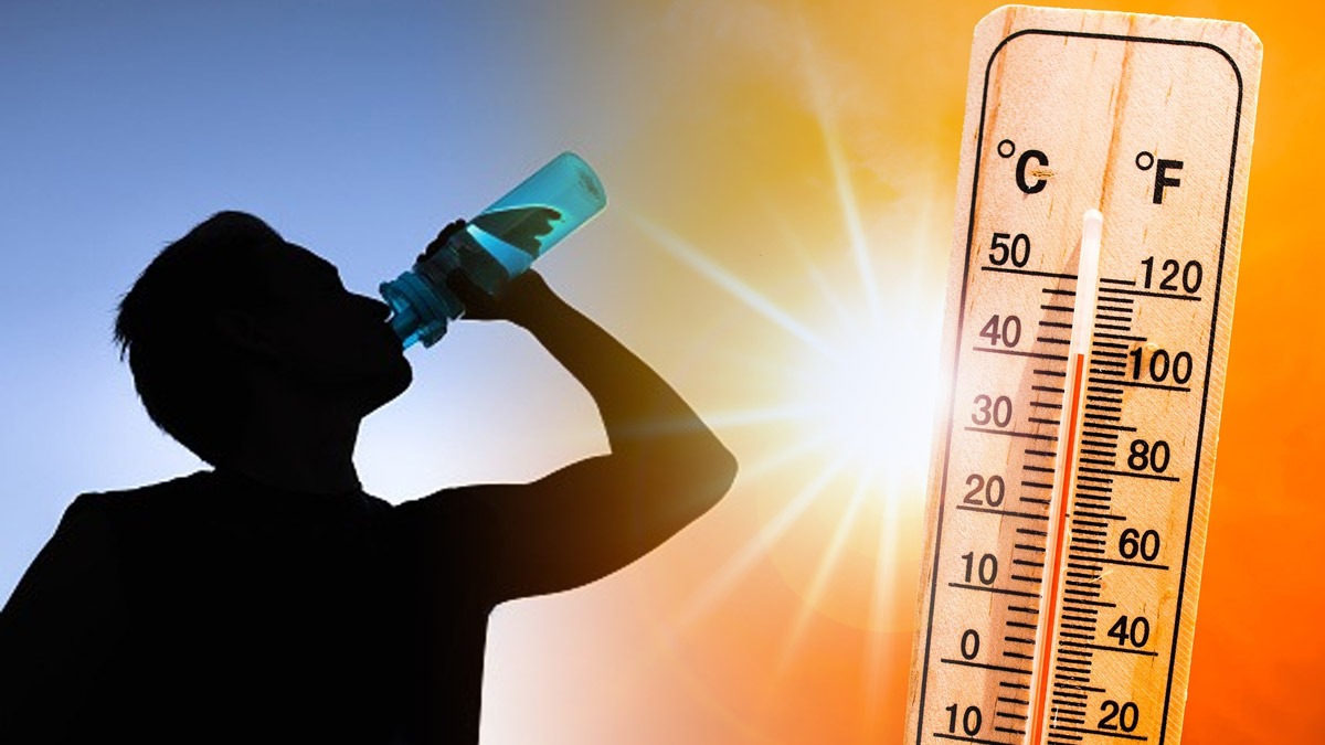 summer health tips: Simple Ways to Stay Hydrated in Summer season summer health tips: Simple Ways to Stay Hydrated in Summer season