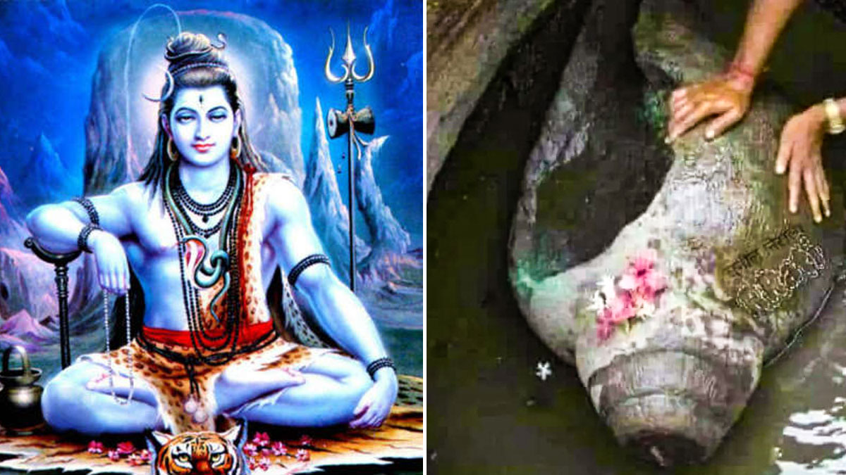 OMG: Bihar Mandar Parvat Have Conch Shell From Which Shiva Drunk Poison During Samundra Manthan OMG: Bihar Mandar Parvat Have Conch Shell From Which Shiva Drunk Poison During Samundra Manthan