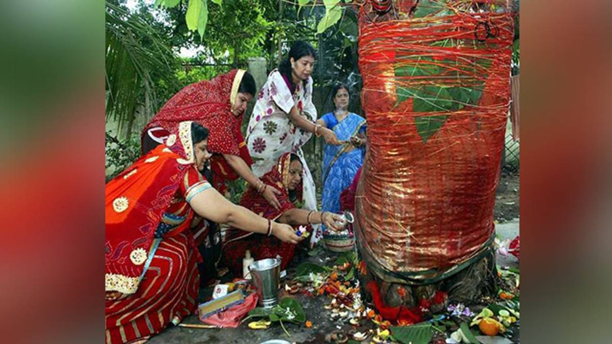 Vat Savitri पूजा में पति को पंखा झलने की परंपरा: जानिए इसका पौराणिक और धार्मिक महत्व 8 Vat Savitri Vrat: क्या पीरियड में रख सकते हैं वट सावित्री का व्रत, जानें कैसे करें बरगद की पूजा | Vat Savitri Vrat In Periods: How To Observe Vat Savitri Fast During
