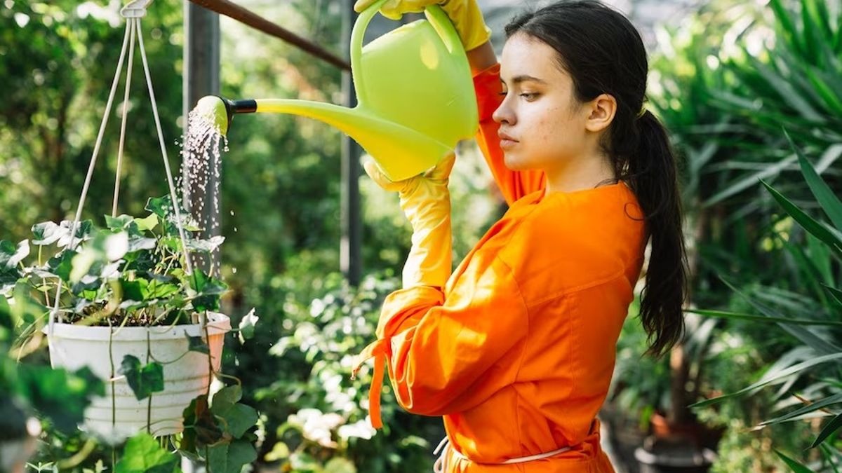 How To Protect Plants From Hot Sun: How To Protect Plants From Hot Sun: