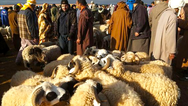 Eid al-Adha Moon Sighting 2023