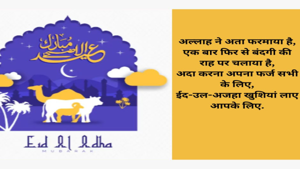 Eid-ul-Adha 2023: Bakra Eid Best Quotes, Images, Wallpapers, Facebook and WhatsApp Status 