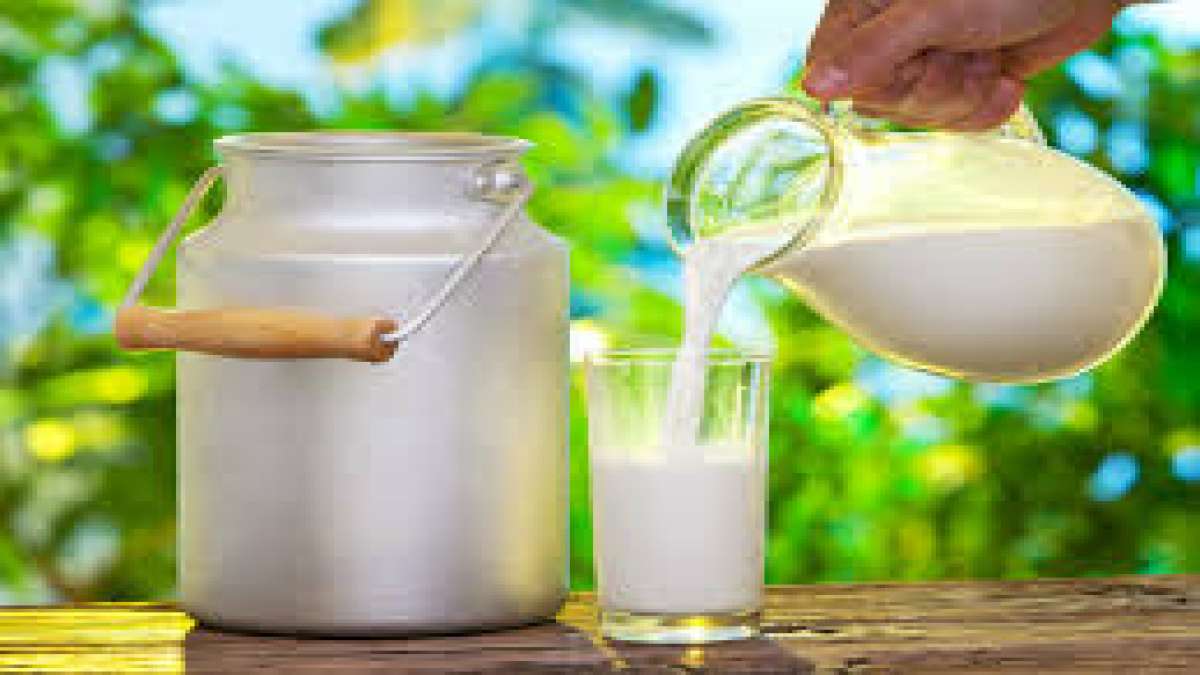 World Milk Day : How to Check Milk Adulteration or Urea in Milk at Home World Milk Day : How to Check Milk Adulteration or Urea in Milk at Home