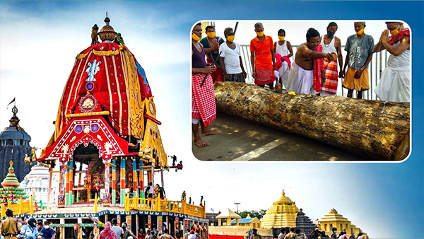 Jagannath Rath Yatra: Why is wood cut with golden ax to make chariot of Lord Jagannath