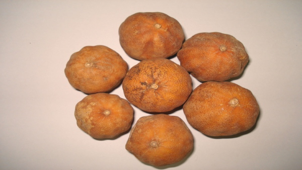 Different ways to use Dried Lemon in the Kitchens Different ways to use Dried Lemon in the Kitchens