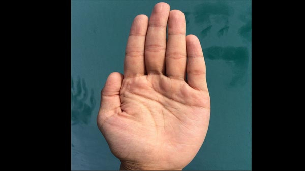These Lines on palm indicate government job as per palmistry in hindi