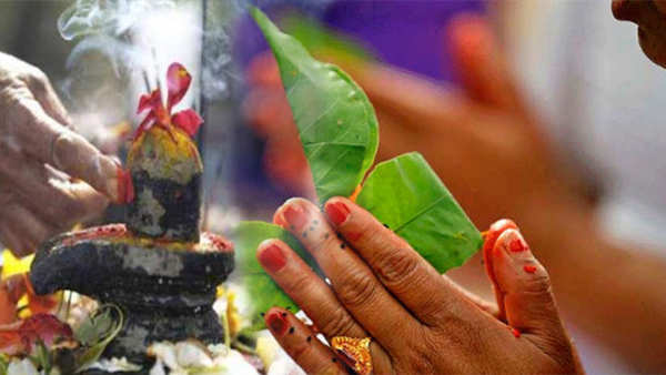 Sawan Upay 2023: Bring These 8 Things to Your Home in Shravan Month to Become Rich Sawan Upay 2023: Bring These 8 Things to Your Home in Shravan Month to Become Rich