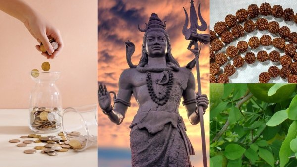 Sawan Upay 2023: Bring These 8 Things to Your Home in Shravan Month to Become Rich Sawan Upay 2023: Bring These 8 Things to Your Home in Shravan Month to Become Rich
