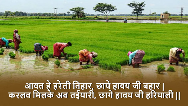 Hareli Tihar 2023 Kab Hai: Wishes, Quotes, Images, FB, WhatsApp Status of Hareli Festival