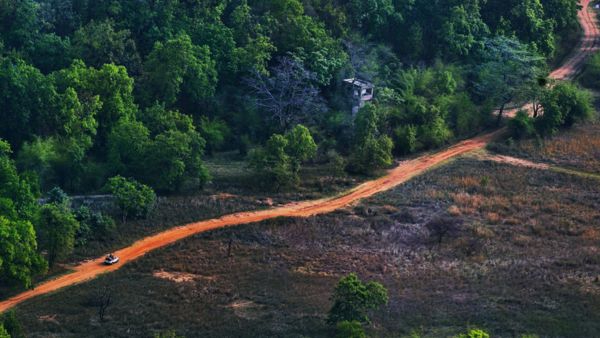 Forest Venues In India