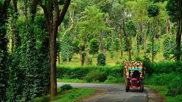 coorg