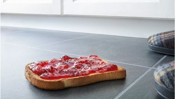 he 05-Second Rule of Dropped Food he 05-Second Rule of Dropped Food