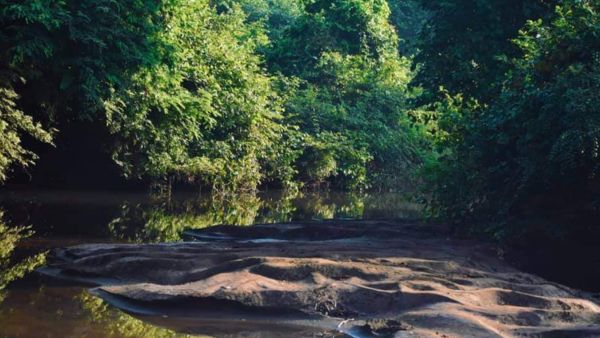 Forest Venues In India