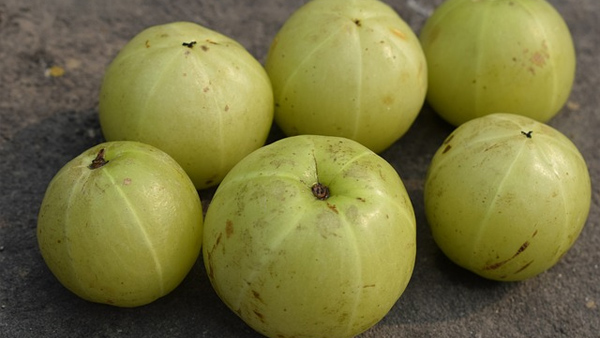gooseberry
