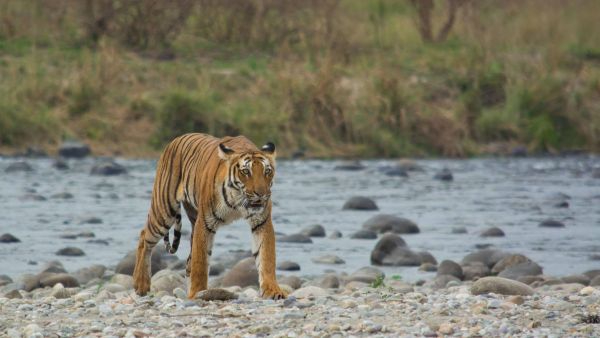 Forest Venues In India
