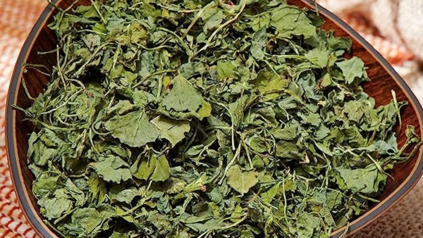 The Origin of Kasuri Methi, Know where from kasuri methi came to india