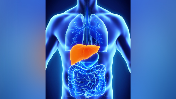 World Hepatitis Day 2023: Amitabh Bachchan Is Hepatitis B Patient Know Its Effects On Liver