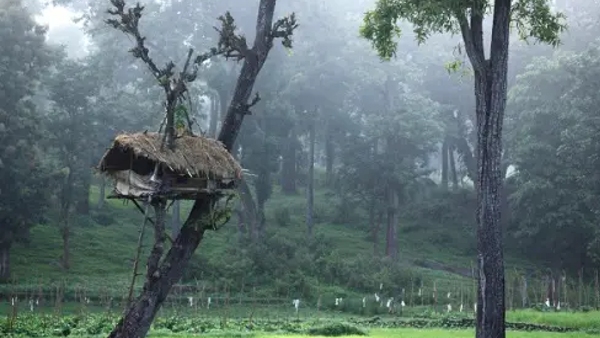 Monsoon Honeymoon Destinations