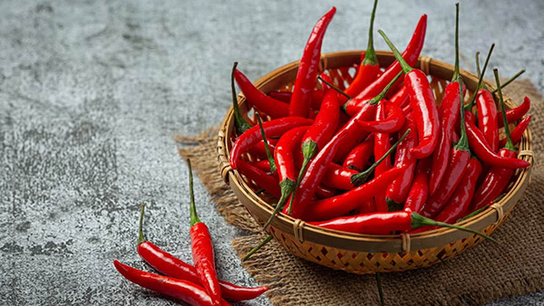 The Origin of Red Chilli, History About laal Mirchi