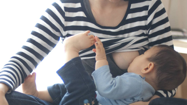  How to Stop Breastfeeding Toddler 
