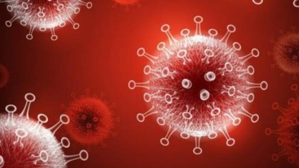 New Covid-19 variant ‘Pirola’ New Covid-19 variant ‘Pirola’