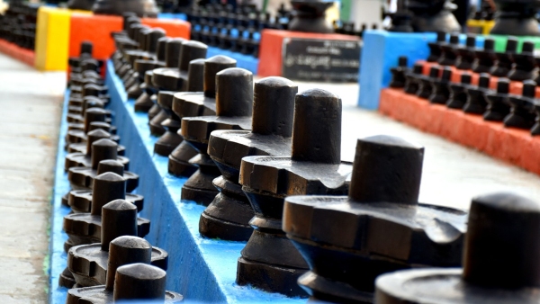 Adhik Maas Shivratri Sawan Somwar Coincidence on 14 August 2023 do these things for Shiva Blessings