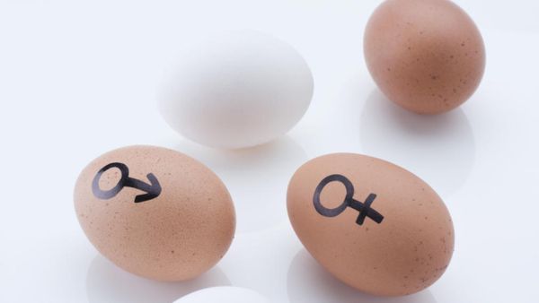 Myths and Facts About Predicting a Babys Gender