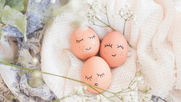  Foods and Female Egg Quality