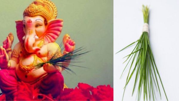  Health Benefits of Durva or Doob Grass