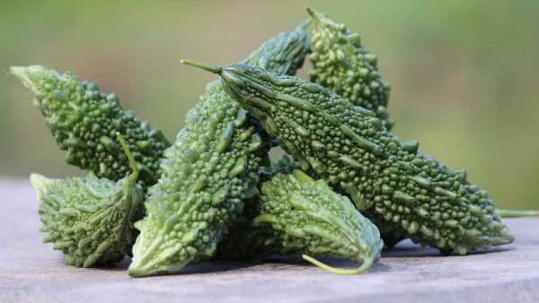 How to Choose Bitter Gourd