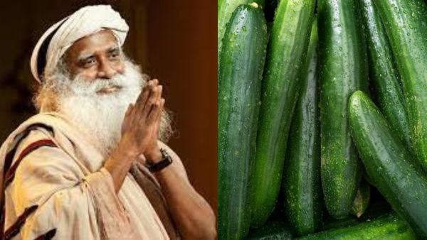  Sadhguru Eat Cucumber I