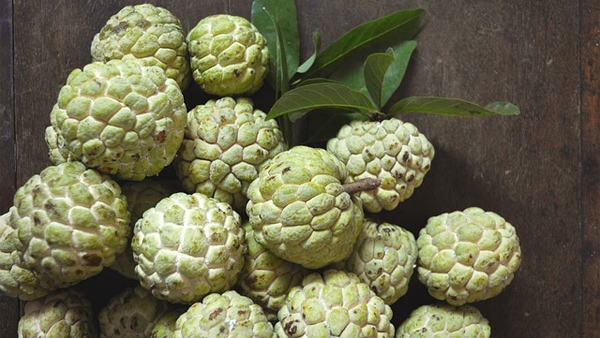  How to Select and Store Custard Apples