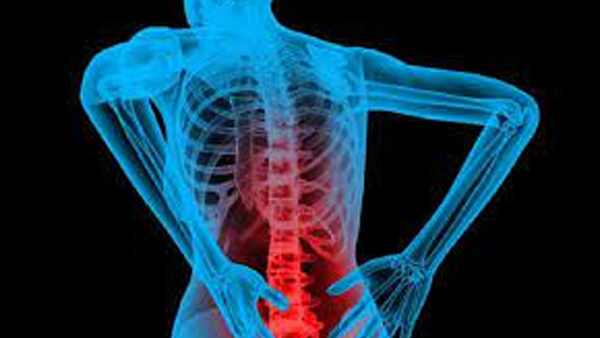  world spine day 2023: