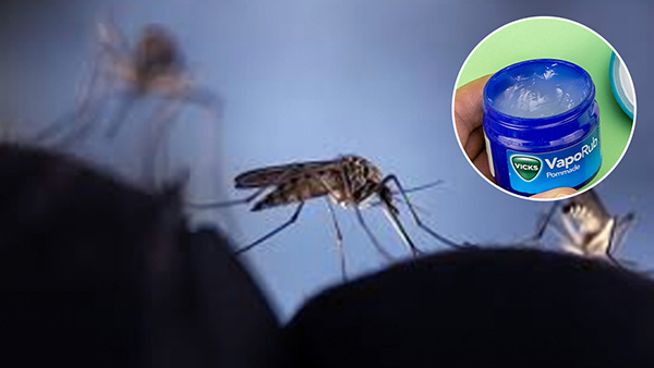 machar bhagane ke gharelu nuskhe