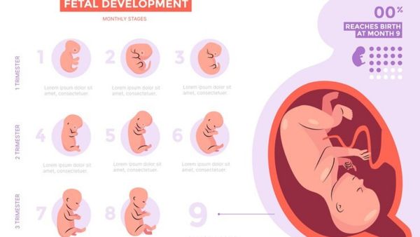  26 Weeks Pregnancy Abortion Case 