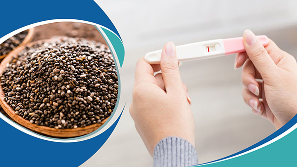 which seeds are good for improve fertility in hindi which seeds are good for improve fertility in hindi