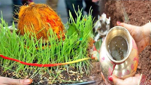 Navratri Puja Ke Baad Jau Ka Kya Kare: What to do of Jau after navami puja